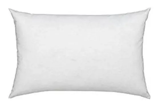 16x24 or 24x16 | Indoor Outdoor Down Alternative Hypoallergenic Polyester Pillow Insert | Quality Insert | Throw Pillow Insert | Pillow Form