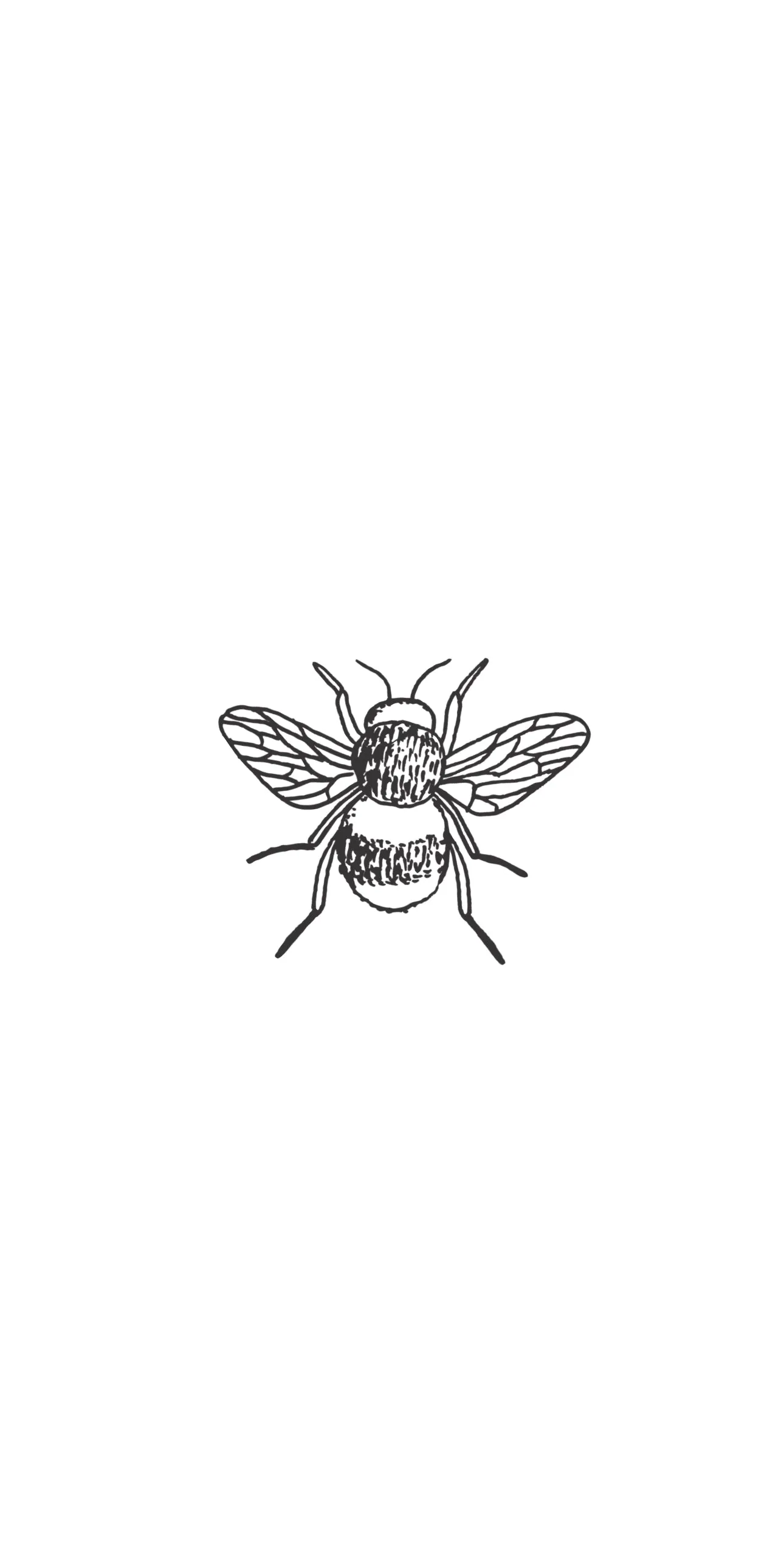 Bee Black - Printed Guest Towel