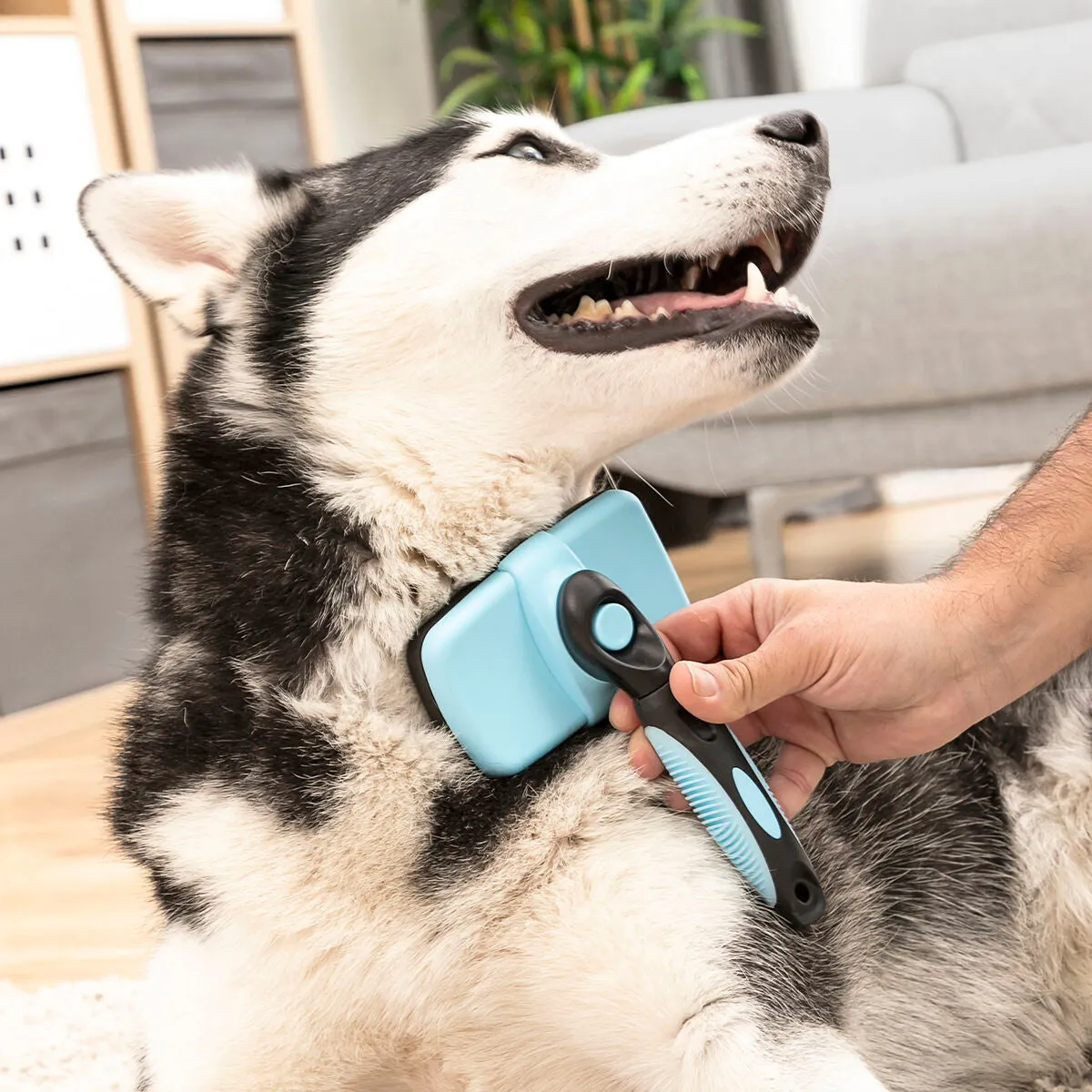 Cleaning Brush for Pets with Retractable Bristles Groombot InnovaGoods