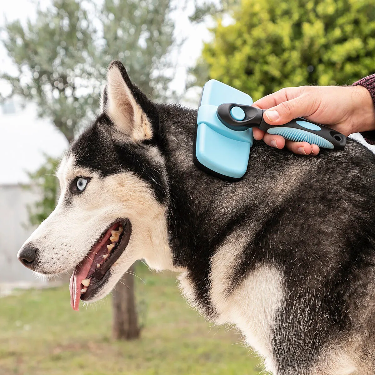 Cleaning Brush for Pets with Retractable Bristles Groombot InnovaGoods