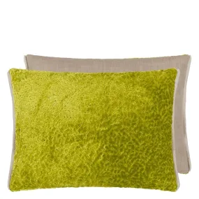 Designers Guild Cartouche Moss Velvet Decorative Pillow