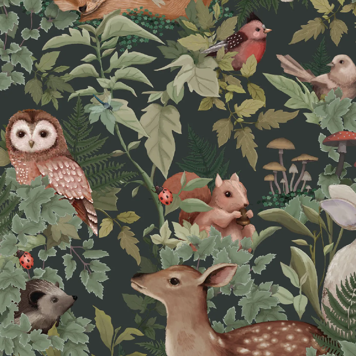 In The Woods Wallpaper Collection