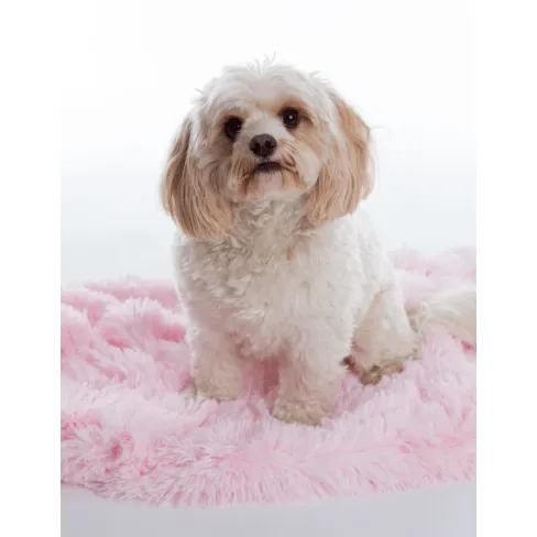 Shaggy Baby Pink Luxury Dog Blanket / Cat Blanket