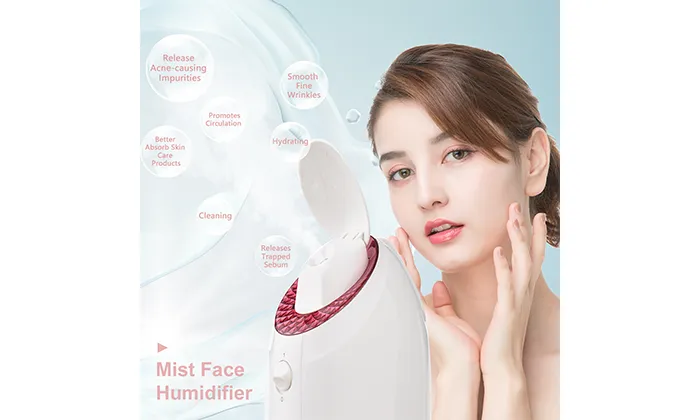 UV Nano Facial Steamer